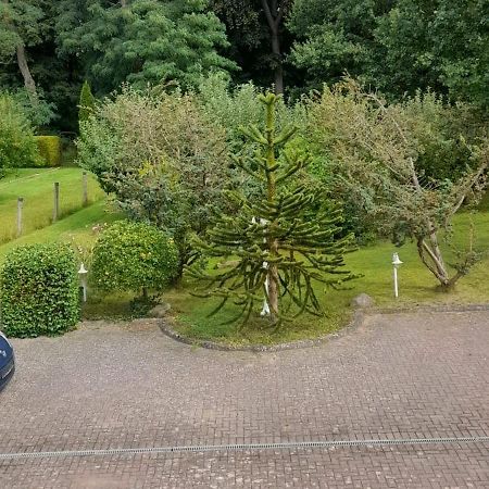 Pension Zum Park Goldberg Exterior foto