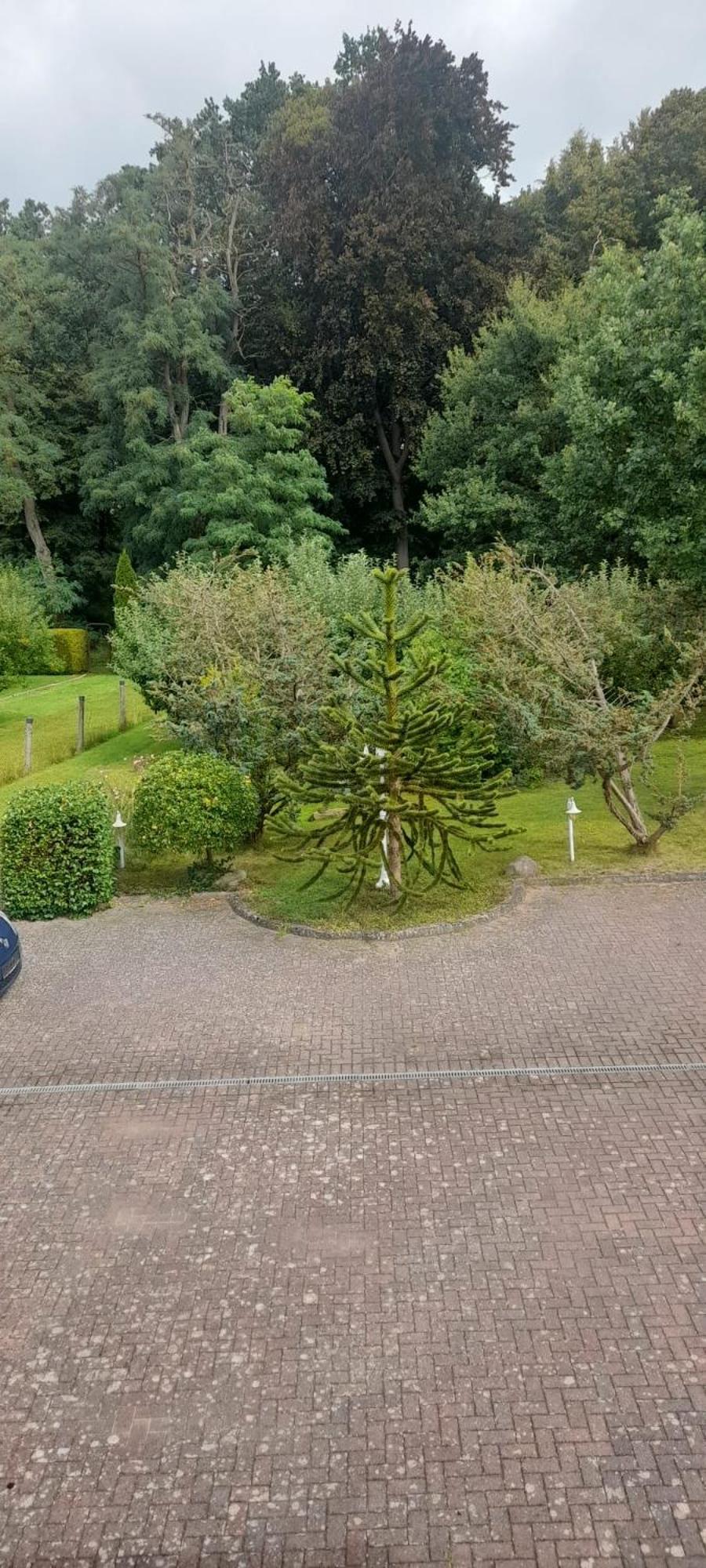 Pension Zum Park Goldberg Exterior foto